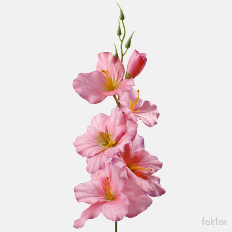Gladiolus satiini tekokukka vaaleanpunainen/violetti reuna/vihreä keskusta