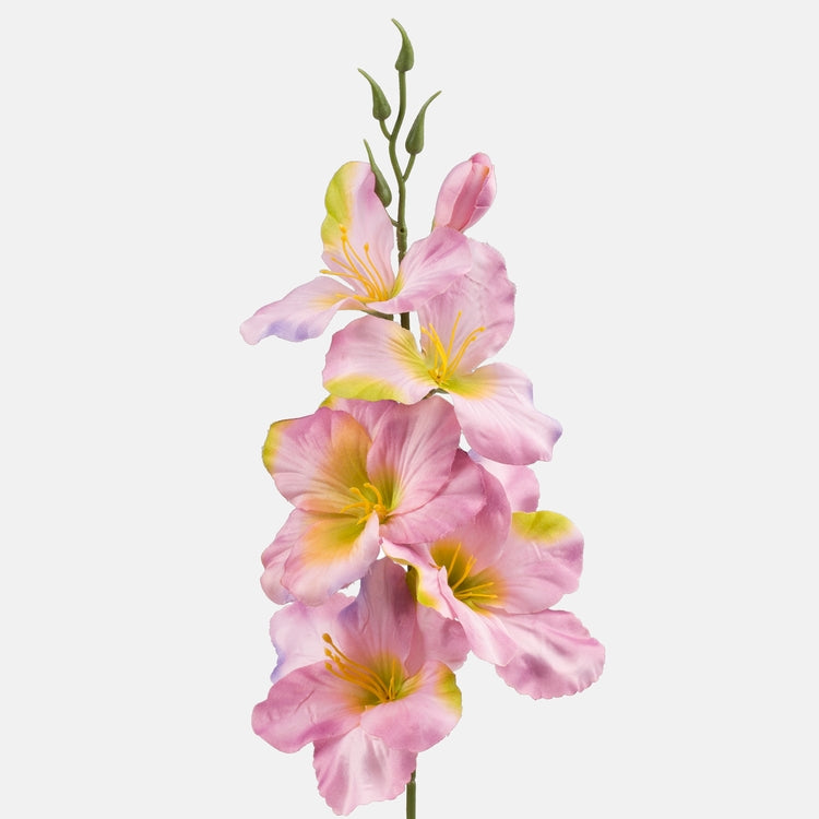 Satiinigladiolus Mauve/Green Edge - Tekokukat.fi