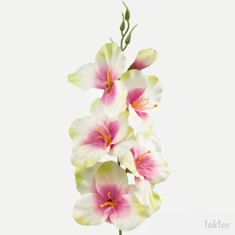 Gladiolus satiini tekokukka kerma/vihreä/burgundy center - Tekokukat.fi