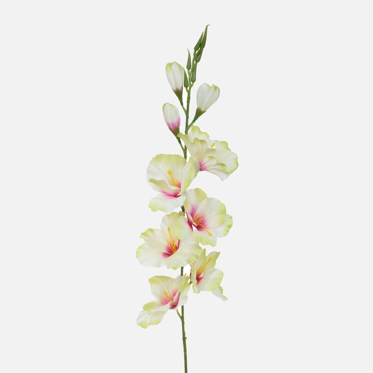 Gladiolus Lt. Vihreä/kerma/violetti - Tekokukat.fi