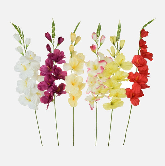 Gladiolus Sekoita - Tekokukat.fi
