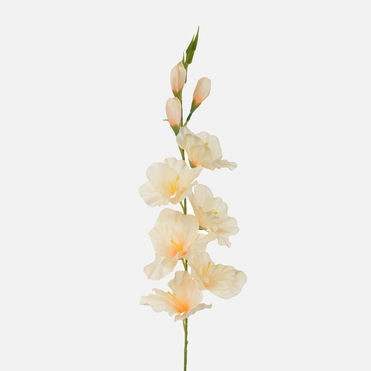 Gladiolus Luutnantti Peach - Tekokukat.fi