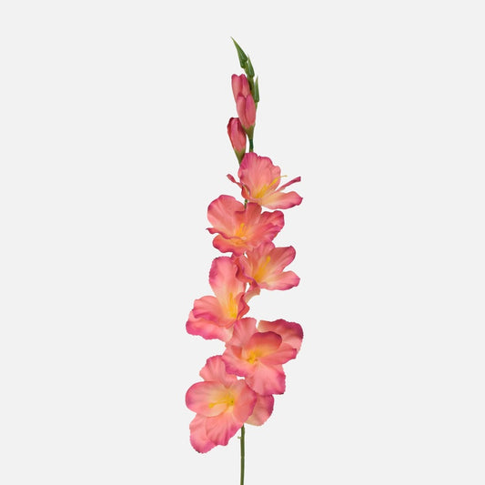 Gladiolus Vaaleanpunainen - Tekokukat.fi
