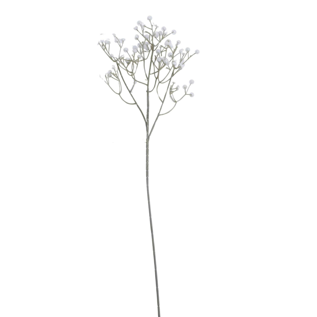 Morsiusharso – koristeoksa, 60 cm
