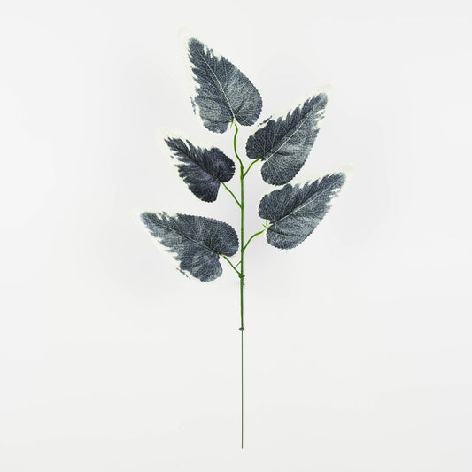Musta/kerma tekolehti, 55 cm, 12 kpl