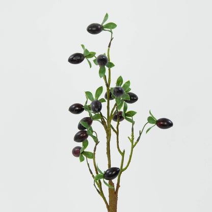 Musta oliivipuu – sisustuskoriste, 70cm