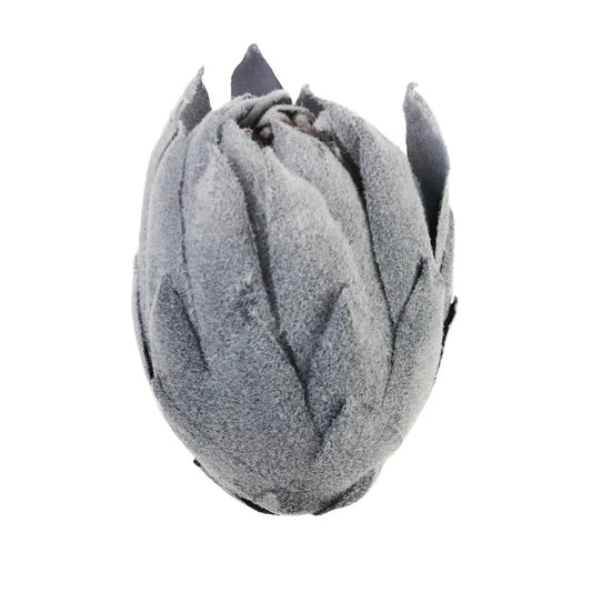 Musta protea – tekokukkapää, 10 cm