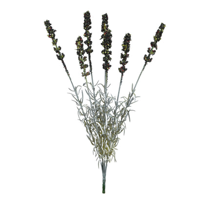 Musta tekolaventelin kimppu, 42 cm