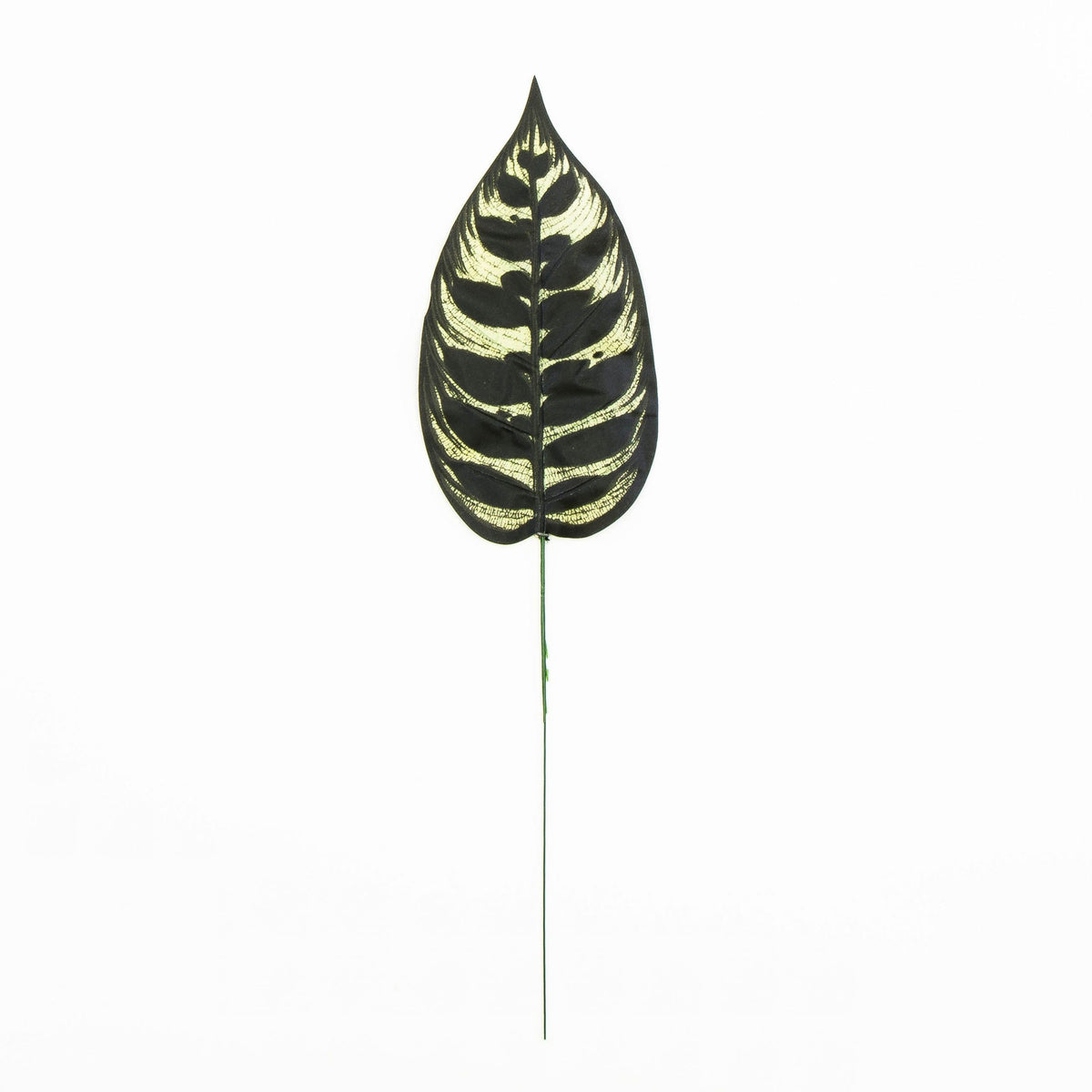 Musta tekolehti, 49 cm, 12 kpl