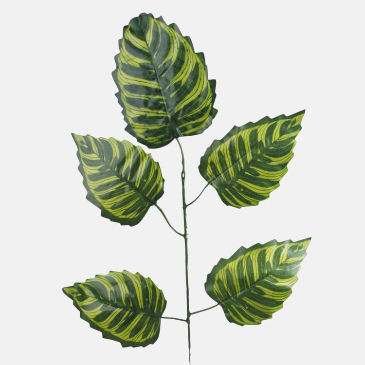 Leppän oksa 1 x 5 Seepra vihreä - Tekokukat.fi