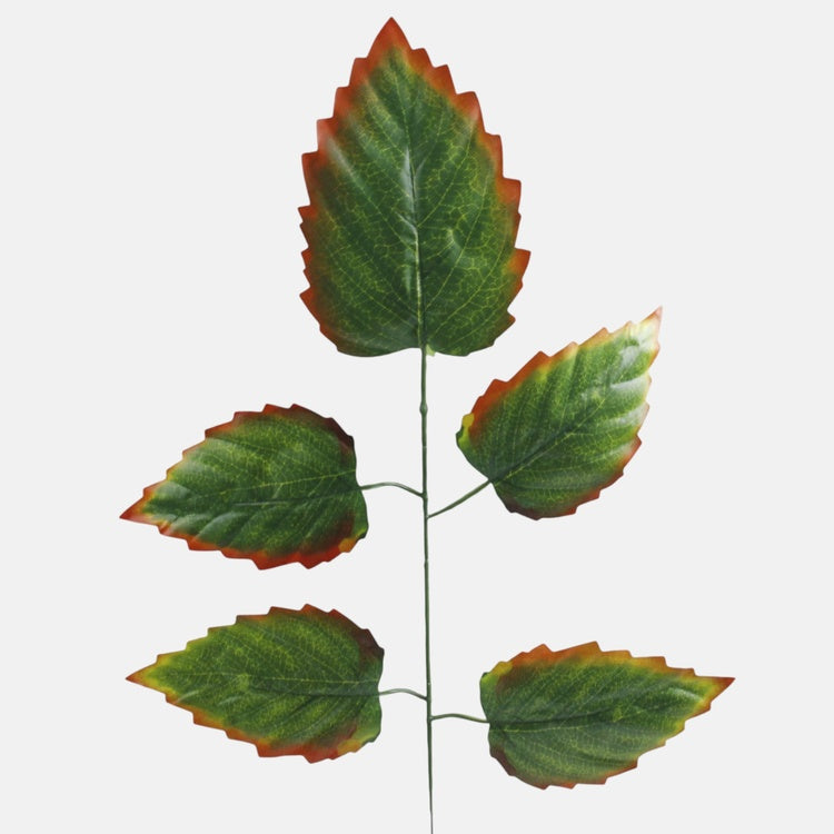 Leppän oksa 1 x 5 Vihreä/oranssi reuna - Tekokukat.fi