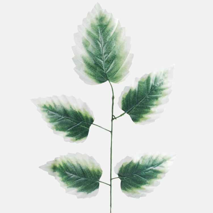 Leppän oksa 1 x 5 Vihreä/valkoinen reuna - Tekokukat.fi