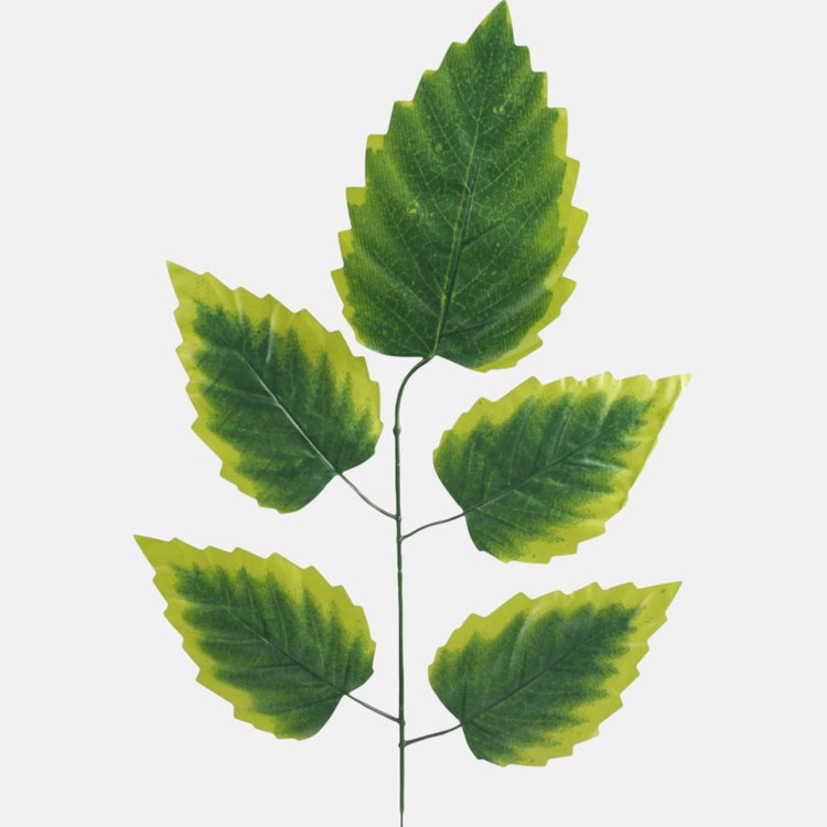 Leppän oksa 1 x 5 Vihreä/Lt. Vihreä reuna - Tekokukat.fi