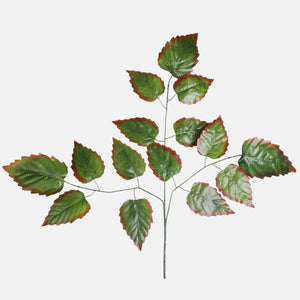 Vihreä/punainen reuna