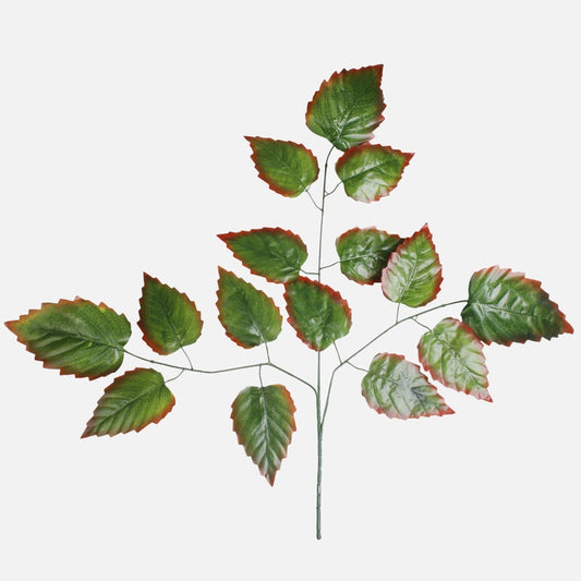 Leppän oksa 3 x 5 Vihreä/punainen reuna - Tekokukat.fi