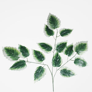 Vihreä/valkoinen reuna