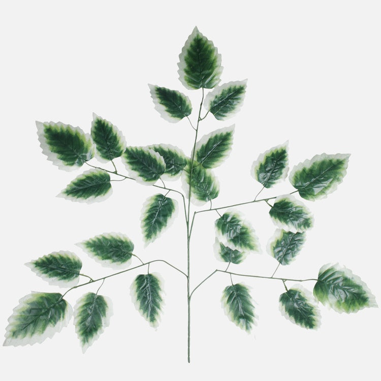 Leppän oksa 5x5 Vihreä/valkoinen reuna - Tekokukat.fi