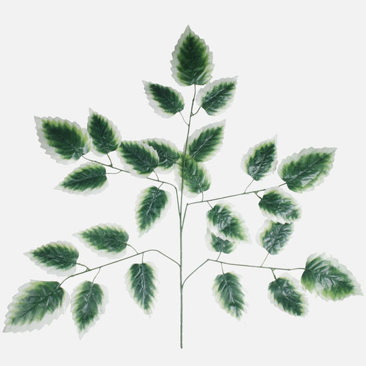 Leppän oksa 5x5 Vihreä/valkoinen reuna - Tekokukat.fi