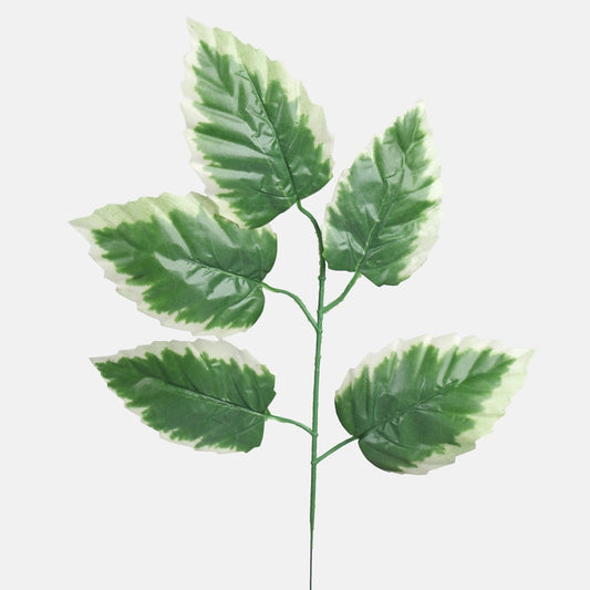 Leppä spray Vihreä/kermanvärinen reuna - Tekokukat.fi