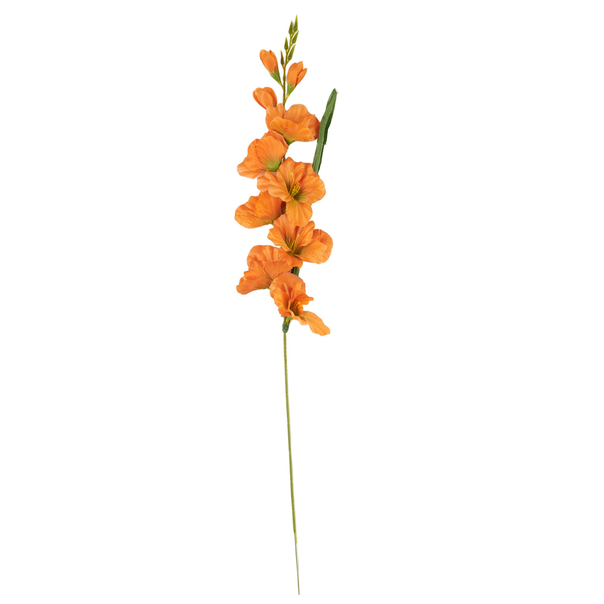 Oranssi gladiolus – tekokukka