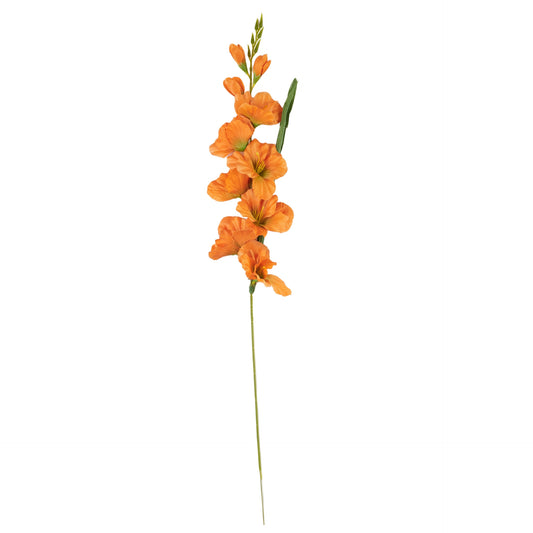 Oranssi gladiolus – tekokukka