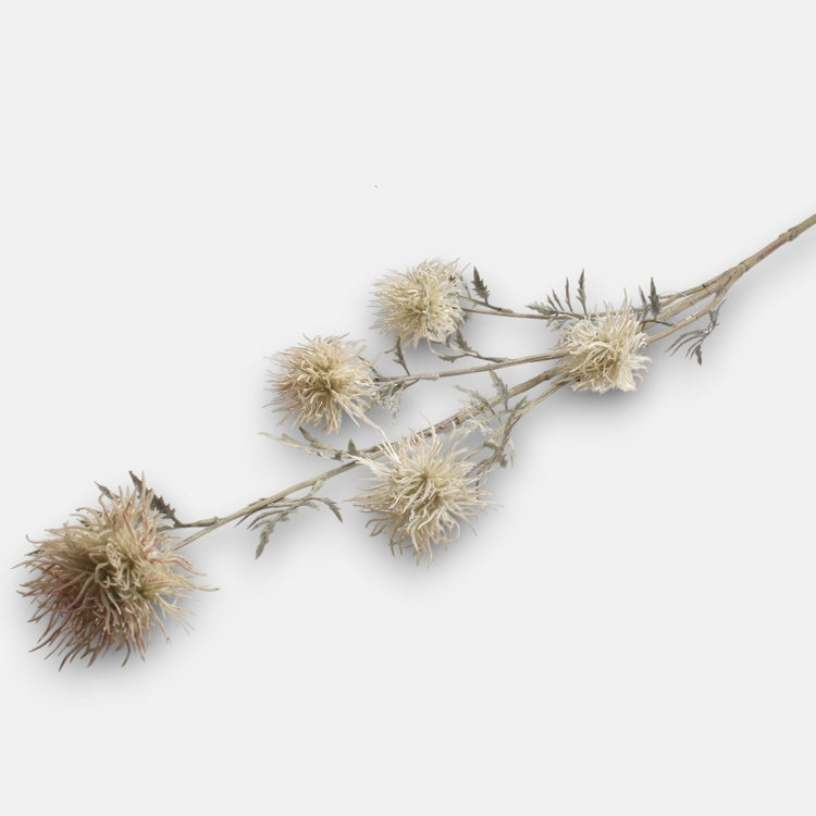 Ksantium x 5 Kerma - Tekokukat.fi