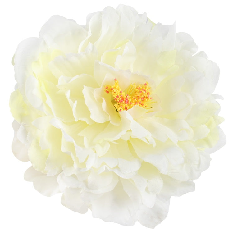 Pioni Kerma - Tekokukat.fi