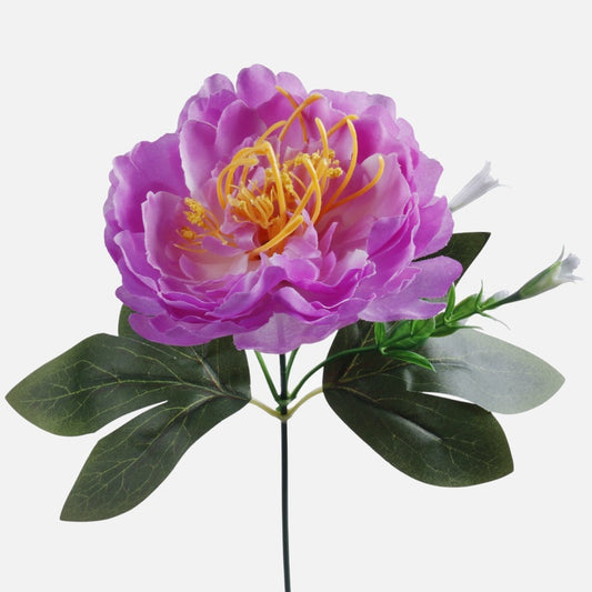 Pioni Violetti - Tekokukat.fi