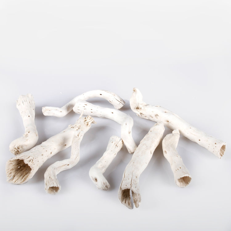 Valkaistu pepekäpy 250 g - Tekokukat.fi