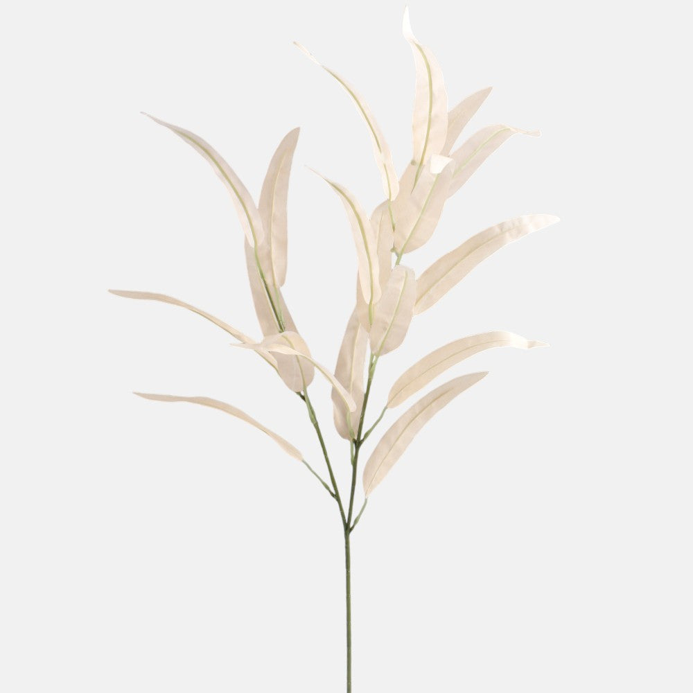Persikanvärinen paju – koristeoksa, 80 cm