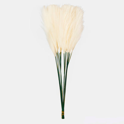 Pampas toppi 
norsunluu