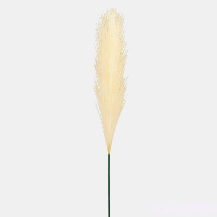 Pampas toppi kerma 6 - Tekokukat.fi