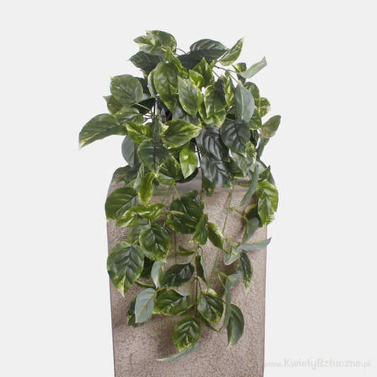 Pothos - Tekokukat.fi