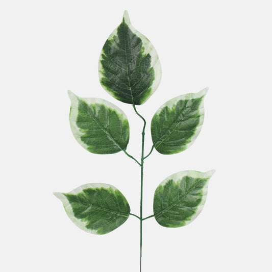 Pothos vihreä/valkoinen reuna - Tekokukat.fi