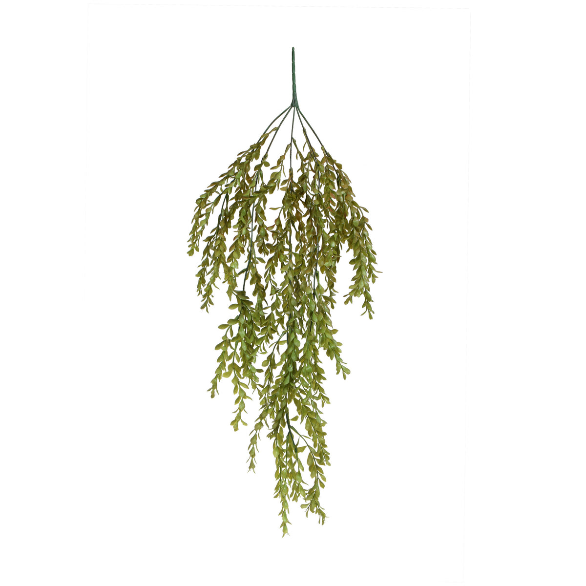 Puksipensas – tekoköynnös, 80 cm