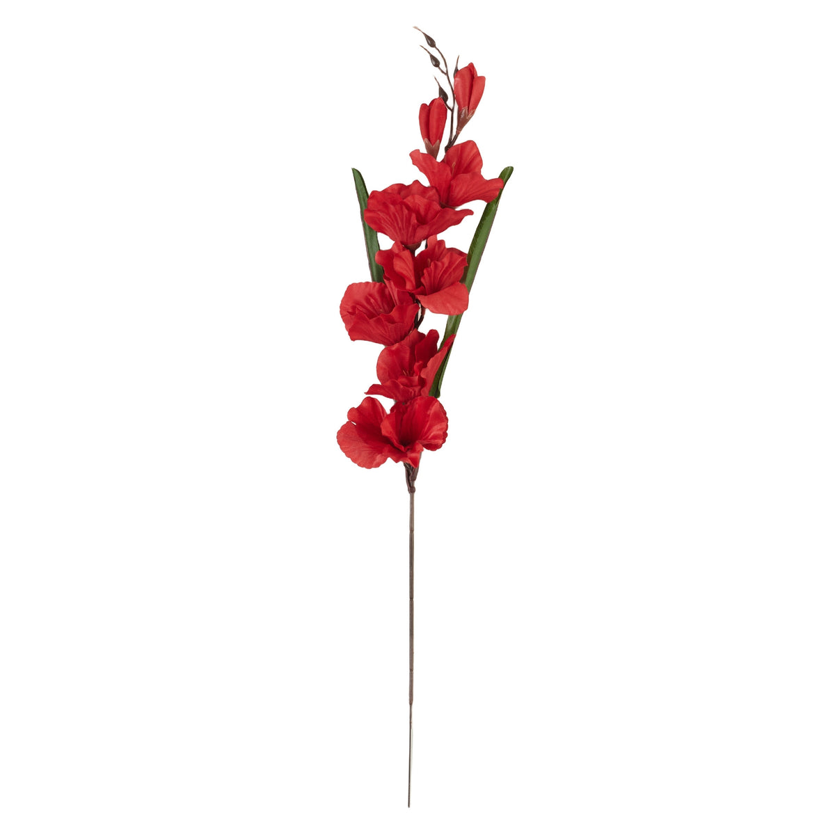 Punainen gladiolus – tekokukka