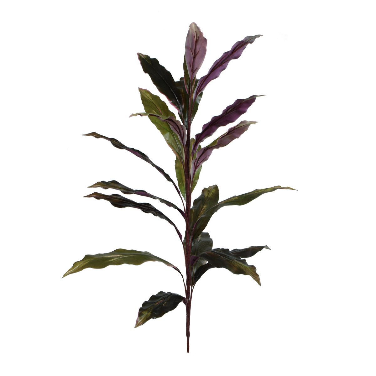 Punainen/musta traakkipuu – ruukkutekokasvi, 90 cm