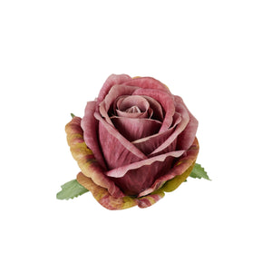 Puuteri Malva