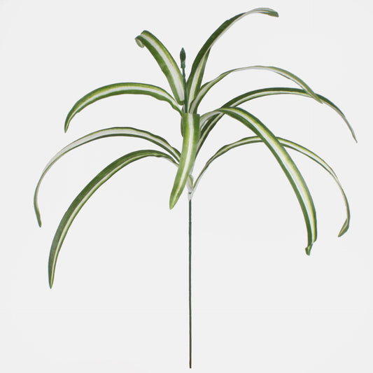 Rönsylilja – koristeheinä, 61 cm