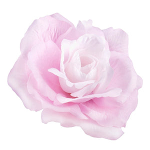 Lt. Lilac/Violet Edge