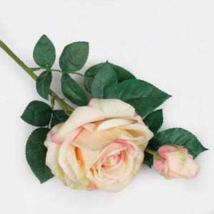 Vaaleankeltainen/mauve reuna