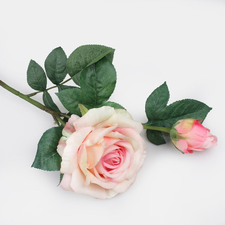 Kuminen ruusu Persikka - Tekokukat.fi