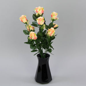 Persikka/Koralli/Lt. Vihreä reuna