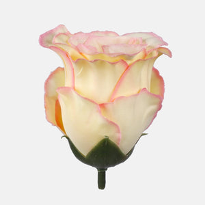 Lt. Keltainen/Pink Edge