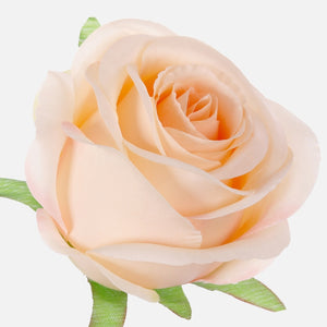 Lt. Oranssi/Pink Edge