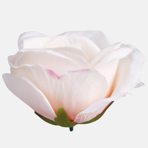 Luutnantti Peach/Pink Edge