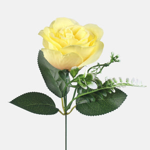 Oranssi/vaaleankeltainen reuna