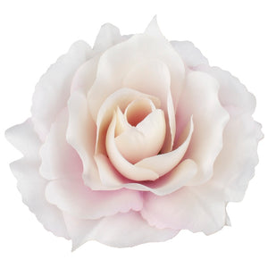 Lt. Lilac/Cream Edge