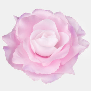 Lt. Pink/Violet Touch