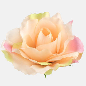 Lt. Peach/Green/Pink Edge